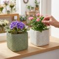 Planter ceramic white green relief mesh 12.5x12.5cm H9cm 2pcs | Floristik24.co.uk