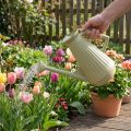 9L watering can in olive green with removable rose, practical for garden and flower care, robust, 42cm | Floristik24.co.uk