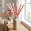 Pink Pampas Grass Dried Flowers Natural Decoration 65-75cm 6 pcs | Floristik24.co.uk