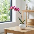 Artificial orchids in pot Phalaenopsis artificial flowers orchids pink 34cm | Floristik24.co.uk