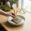 Kenzan Ikebana Flower Stem, Silver Brass, Rectangular, 60×45mm | Floristik24.co.uk