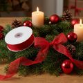 Organza ribbon with selvedge ribbon organza fabric 15mm 50m red | Floristik24.co.uk