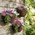 Hanging basket plants metal rust look H30/33.5/40cm set of 3 | Floristik24.co.uk