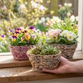 Plant basket seagrass basket water hyacinth planter oval 20.5cm 3 pcs | Floristik24.co.uk