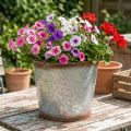 Plant pot with handles, decorative bowl with rust finish, silver metal container Ø26cm H25.5cm | Floristik24.co.uk