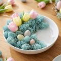 Decoration moss light blue aquamarine reindeer moss handicraft moss 400g | Floristik24.co.uk