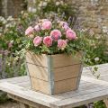 Flower box wooden planter Shabby Chic Beige 19x19x15.5cm | Floristik24.co.uk