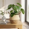 Seagrass Basket Two-Tone with Handles - Storage &amp; Planting Basket - Natural &amp; Brown Ø25cm H24cm | Floristik24.co.uk