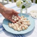 Mussel Umachi 500g | Floristik24.co.uk