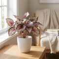 Artificial begonia bush green, violet 34cm | Floristik24.co.uk