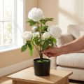Artificial Paeonia, peony in a pot, decorative plant white flowers H57cm | Floristik24.co.uk