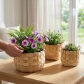Natural plant basket set of 3, flower basket, planter, boho decorative basket, woven, Ø18/23/29cm | Floristik24.co.uk
