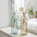 Bottles decorative glass vase cowrie shells maritime H26cm 2pcs | Floristik24.co.uk