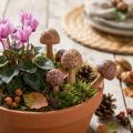 Mushroom Wooden Flower Picks Brown Ø2.5cm Set of 8 | Floristik24.co.uk