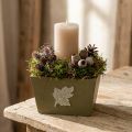Pine Green Wooden Planter Box Shabby Chic 11×14.5×14cm | Floristik24.co.uk