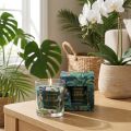 Scented candle in a glass vessel Cucumber-Eucalyptus candle Green Ø7cm | Floristik24.co.uk
