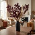 Ruscus Red Decorative Branches Dried Dark Red 75-95cm 1kg | Floristik24.co.uk