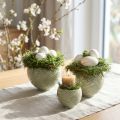 Ceramic bowls in green spiral design Ø9cm H7cm 4pcs | Floristik24.co.uk