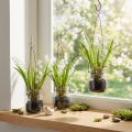 Lily of the Valley in a Glass Artificial Early Bloomers H22cm 3pcs | Floristik24.co.uk