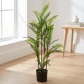 Fern in pot green 80cm | Floristik24.co.uk