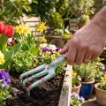Metal hand rake, rake with rose motif, mini rake L23cm | Floristik24.co.uk