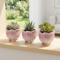 Mini planter ceramic pot flower assorted Ø8cm H7cm 3pcs | Floristik24.co.uk