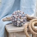 Natural Shell Sphere with Sea Snails for Maritime Decorations Ø19cm | Floristik24.co.uk