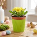 Pleated cuffs for flower pots light green 14.5cm 100 pcs | Floristik24.co.uk