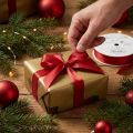 Red Satin Gift Ribbon 10mm x 50m for Decoration and Crafting | Floristik24.co.uk