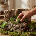 Natural Cork Bark 5-Piece Set for Crafts and Decorations, 30x20cm | Floristik24.co.uk
