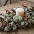 Grey Dried Dyed Moss for Floristry and Crafts, 500 g | Floristik24.co.uk