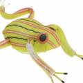 Floristik24 Decorative frogs sorted with wire 7cm 3pcs