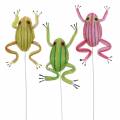 Floristik24 Decorative frogs sorted with wire 7cm 3pcs