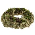 Floristik24 Spring wreath Ø30cm natural 1p