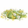 Floristik24 Flower wreath with wood anemones white, yellow Ø30cm
