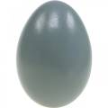 Floristik24 Goose eggs gray blown eggs Easter decoration 12pcs
