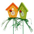 Floristik24 Garden plug bird house 7cm 18pcs