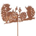 Floristik24 Hedgehog Garden Stake with Rust Effect – 53cm Decorative Metal Ornament