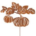 Floristik24 Metal Pumpkin Garden Stake – Rustic Autumn Decoration, 100cm