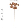 Metal Pumpkin Garden Stake – Rustic Autumn Decoration, 100cm | Floristik24.co.uk