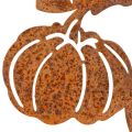 Metal Pumpkin Garden Stake – Rustic Autumn Decoration, 100cm | Floristik24.co.uk