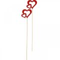 Floristik24 Flower plug heart wood red romantic decoration 6cm 24pcs