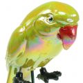 Floristik24 Garden plug parrot yellow 16cm