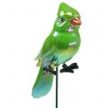 Floristik24 Garden plug parrot green 16cm