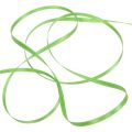 Floristik24 Gift ribbon light green 3mm 50m