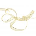 Floristik24 Gift ribbon gold ring effect 15mm 25m
