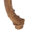 Künstliches Antler Ornament,