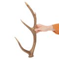 Kunst Antler Decor Rustic Polyresin Brown 50cm | Floristik24.co.uk