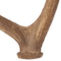 Kunst Antler Decor Rustic