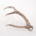Kunst Antler Decor Rustic